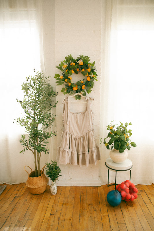 Pre-Order - Birch Diana Mini Dress