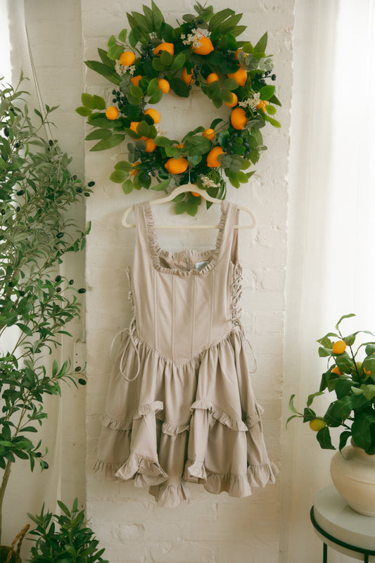 Pre-Order - Birch Carmilla Mini Dress